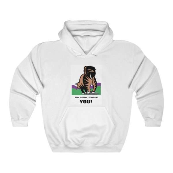 Funny Unisex Heavy Blend Hoodie Sweatshirt - This Is What I Think Of You