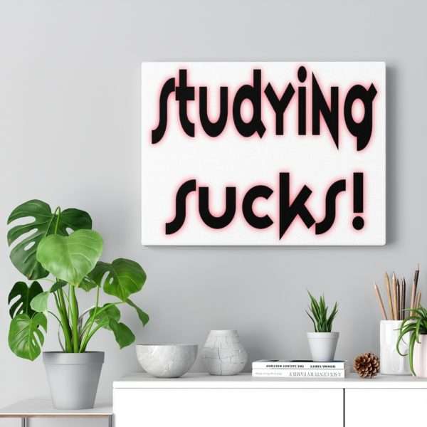 Studying Sucks Canvas Gallery Wraps - Image 11