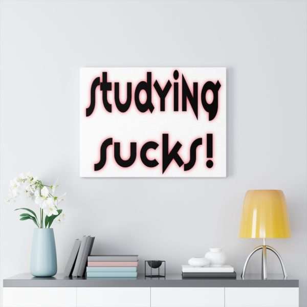 Studying Sucks Canvas Gallery Wraps