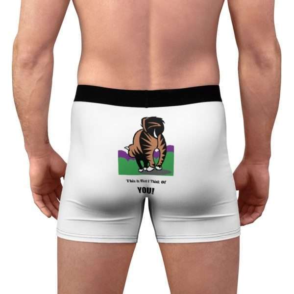 Funny Men’s Undies Boxer Briefs - This Is What I Think Of You