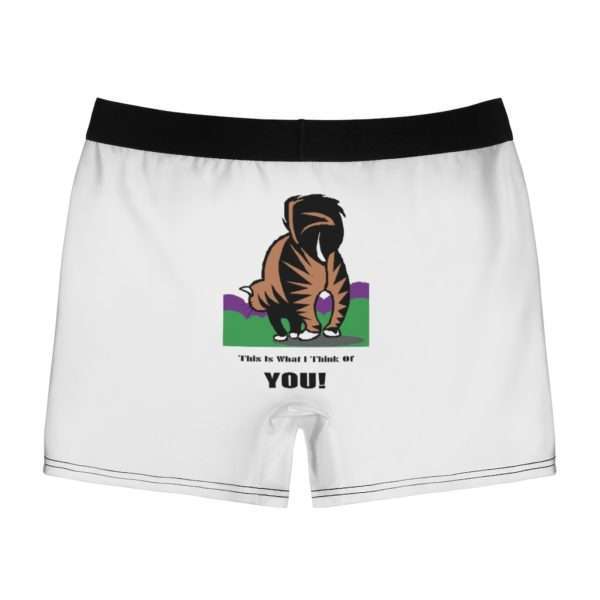 Funny Men’s Undies Boxer Briefs - This Is What I Think Of You - Image 3