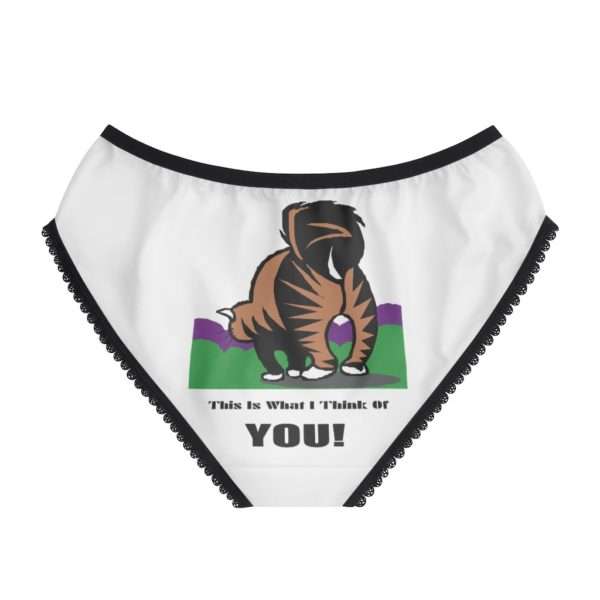 Funny Women’s Panties Briefs - This Is What I Think Of You - Image 3