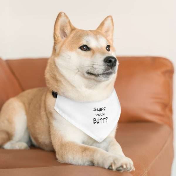 Pet Bandana Collar - Sniff Your Butt? - Image 8