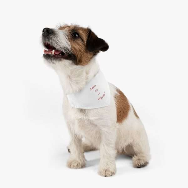 Show Me the Meats Pet Bandana Collar - Image 4