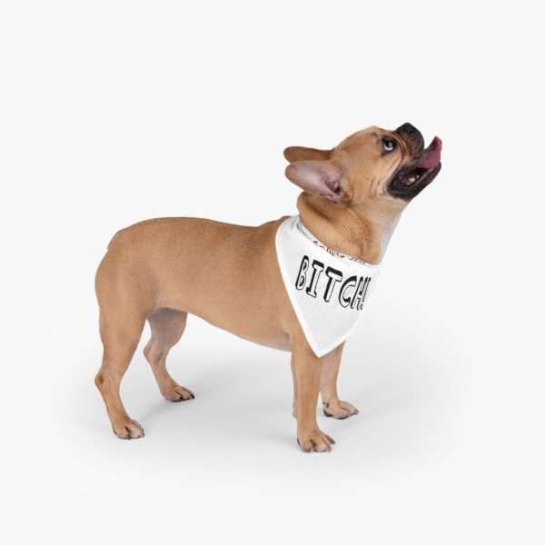 Funny Dog Bandana - Come Here, Bitch! - Image 3