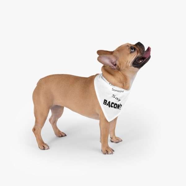 Funny Dog Bandana - Did Someone Say Bacon? - Image 3