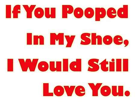 if you pooped in my shoe