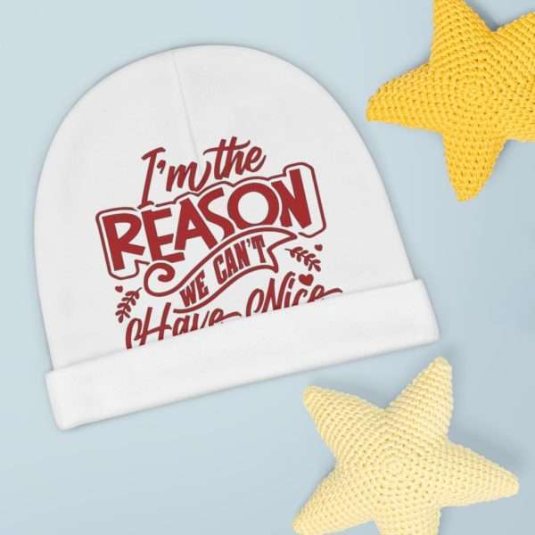 Funny Baby Beanie - I'm the Reason We Can't Have Nice Things