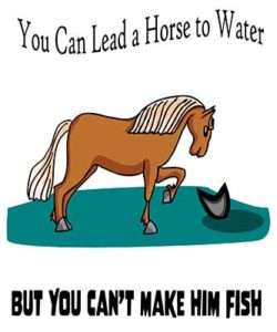 You Can Lead a Horse to Water But You Can't Make Him Fish T-shirts ...