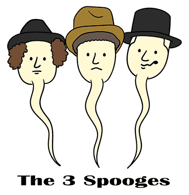 The 3 Spooges