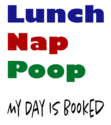 Lunch Nap Poop - My Day Is Booked