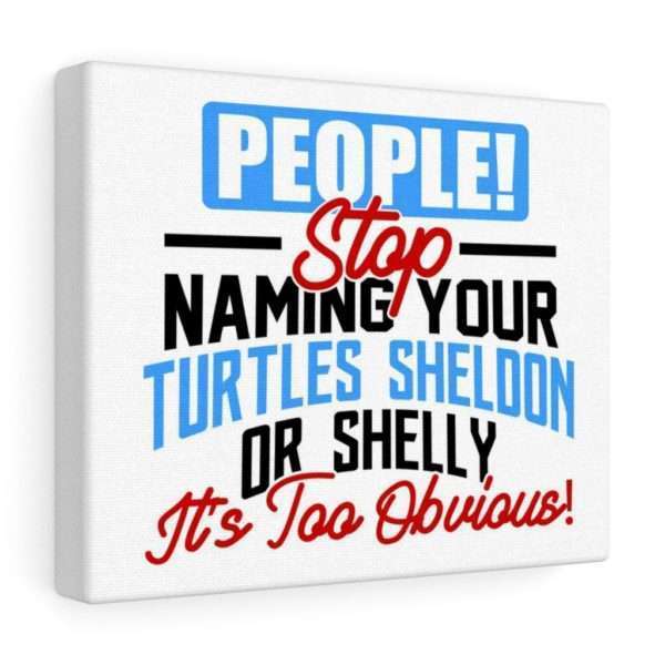 People! Stop Naming Your Turtles Sheldon or Shelly, It's Too Obvious! Canvas Gallery Wraps - Image 5