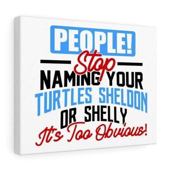 People! Stop Naming Your Turtles Sheldon or Shelly, It's Too Obvious! Canvas Gallery Wraps - Image 9