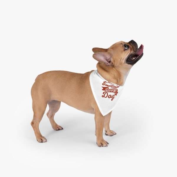 Funny Dog Bandana - Not an Emotional Support Dog