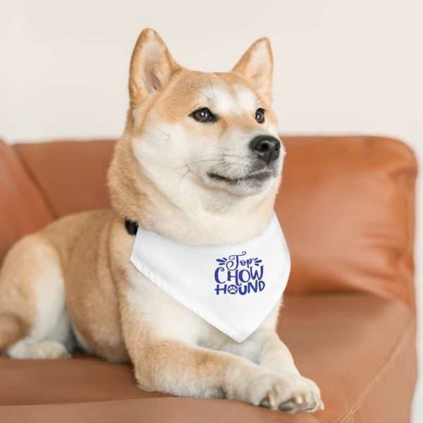 Top Chow Hound Pet Bandana Collar - Image 6