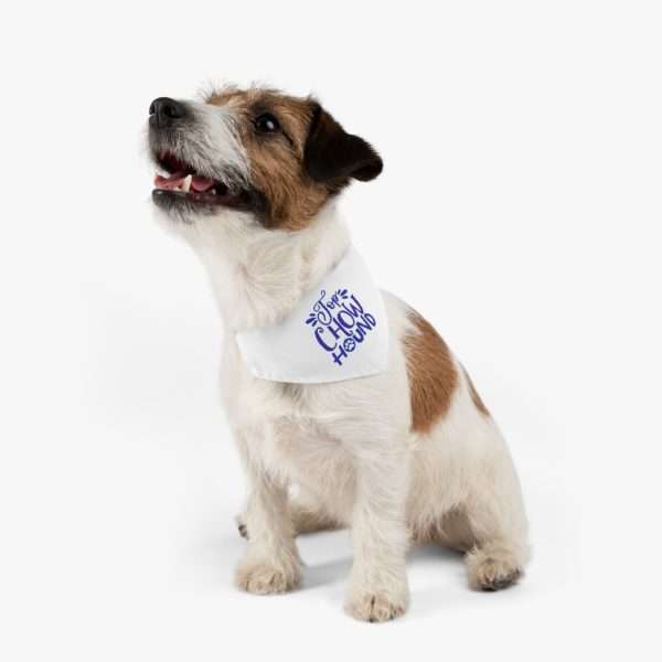 Top Chow Hound Pet Bandana Collar - Image 3