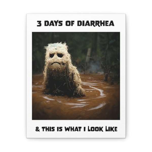 Funny Canvas Art Print Gallery Wrap - 3 Days of Diarrhea & This Is What I Look Like - Image 42