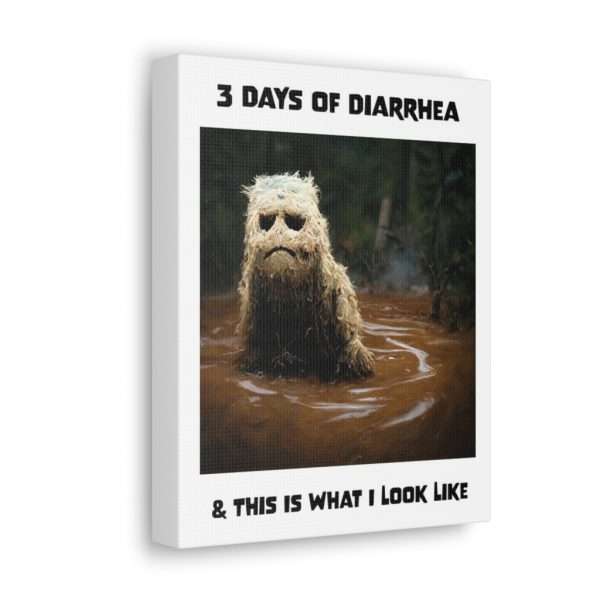 Funny Canvas Art Print Gallery Wrap - 3 Days of Diarrhea & This Is What I Look Like - Image 43