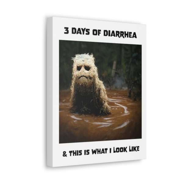 Funny Canvas Art Print Gallery Wrap - 3 Days of Diarrhea & This Is What I Look Like - Image 50