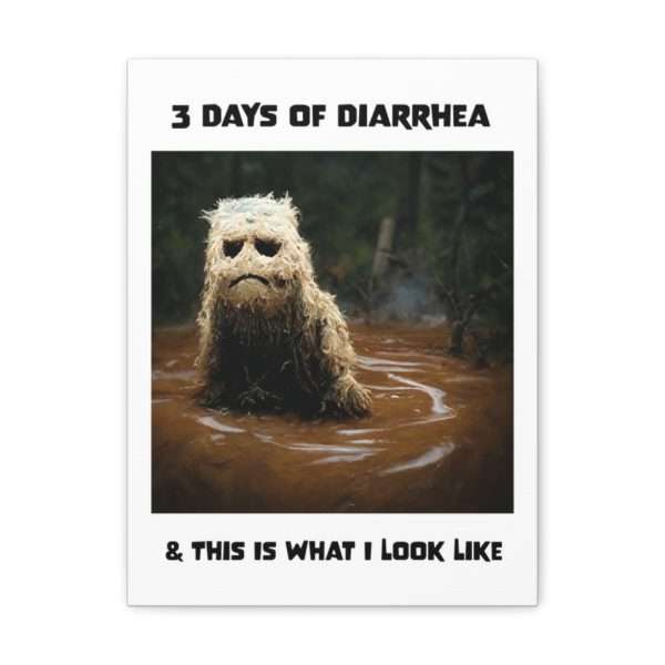 Funny Canvas Art Print Gallery Wrap - 3 Days of Diarrhea & This Is What I Look Like - Image 56