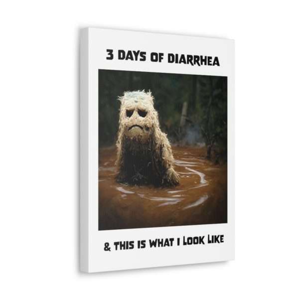 Funny Canvas Art Print Gallery Wrap - 3 Days of Diarrhea & This Is What I Look Like - Image 57