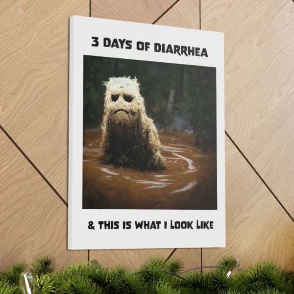 Funny Canvas Art Print Gallery Wrap - 3 Days of Diarrhea & This Is What I Look Like - Image 69