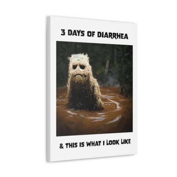 Funny Canvas Art Print Gallery Wrap - 3 Days of Diarrhea & This Is What I Look Like - Image 64