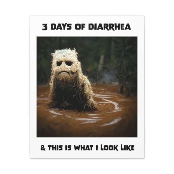 Funny Canvas Art Print Gallery Wrap - 3 Days of Diarrhea & This Is What I Look Like - Image 2