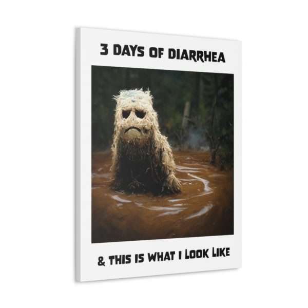 Funny Canvas Art Print Gallery Wrap - 3 Days of Diarrhea & This Is What I Look Like - Image 3