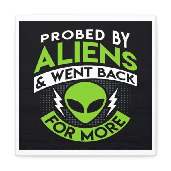 Funny Canvas Art Print Gallery Wrap - Probed By Aliens & Went Back for More - Image 6