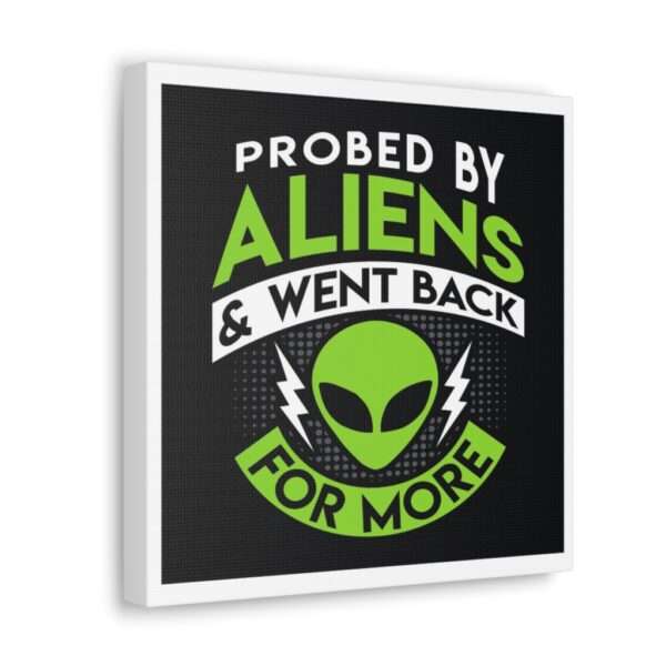 Funny Canvas Art Print Gallery Wrap - Probed By Aliens & Went Back for More - Image 7