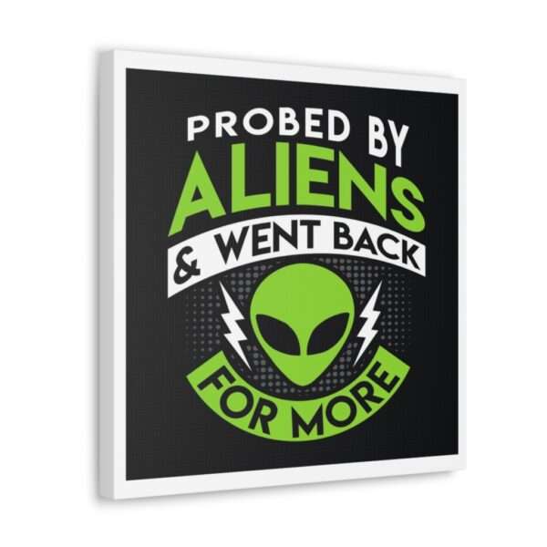 Funny Canvas Art Print Gallery Wrap - Probed By Aliens & Went Back for More - Image 12