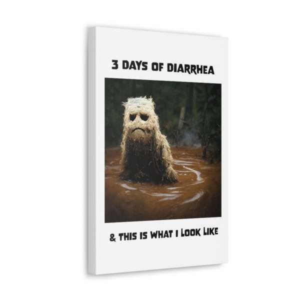 Funny Canvas Art Print Gallery Wrap - 3 Days of Diarrhea & This Is What I Look Like - Image 9