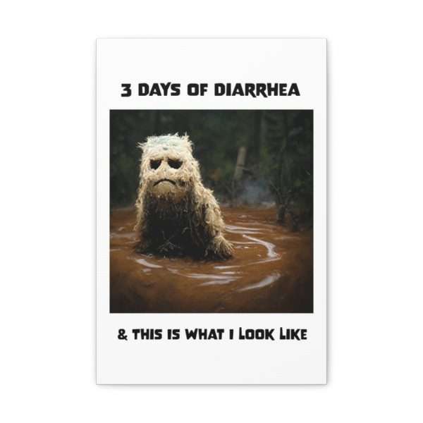 Funny Canvas Art Print Gallery Wrap - 3 Days of Diarrhea & This Is What I Look Like - Image 8