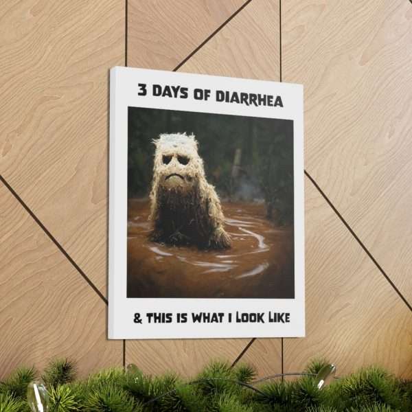 Funny Canvas Art Print Gallery Wrap - 3 Days of Diarrhea & This Is What I Look Like - Image 21