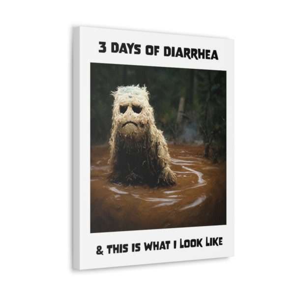 Funny Canvas Art Print Gallery Wrap - 3 Days of Diarrhea & This Is What I Look Like - Image 16