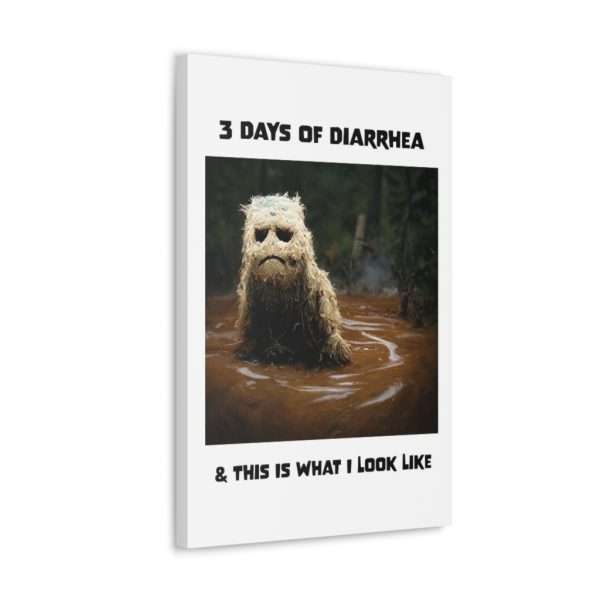 Funny Canvas Art Print Gallery Wrap - 3 Days of Diarrhea & This Is What I Look Like - Image 23