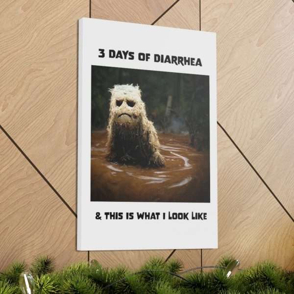 Funny Canvas Art Print Gallery Wrap - 3 Days of Diarrhea & This Is What I Look Like - Image 27