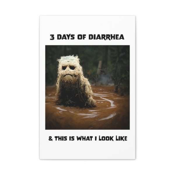 Funny Canvas Art Print Gallery Wrap - 3 Days of Diarrhea & This Is What I Look Like - Image 22