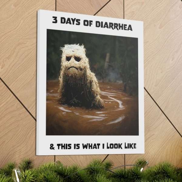 Funny Canvas Art Print Gallery Wrap - 3 Days of Diarrhea & This Is What I Look Like - Image 34