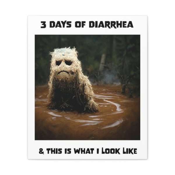 Funny Canvas Art Print Gallery Wrap - 3 Days of Diarrhea & This Is What I Look Like - Image 28