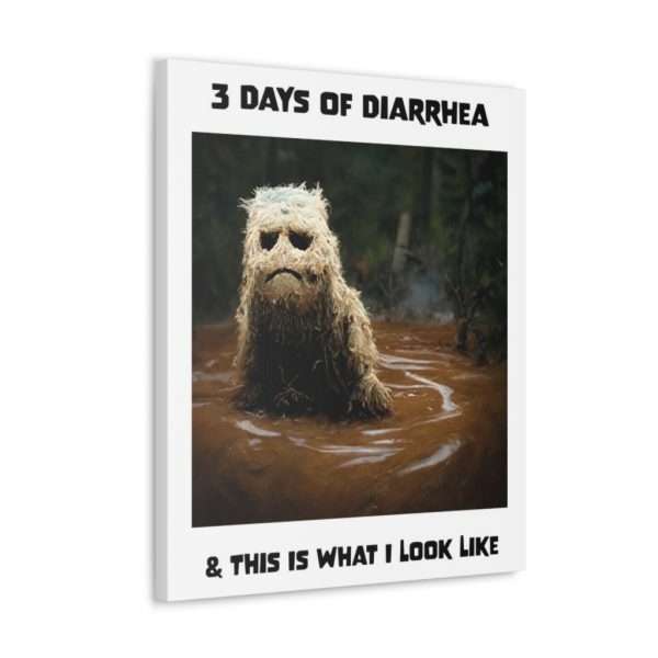 Funny Canvas Art Print Gallery Wrap - 3 Days of Diarrhea & This Is What I Look Like - Image 29