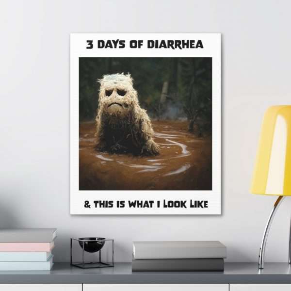 Funny Canvas Art Print Gallery Wrap - 3 Days of Diarrhea & This Is What I Look Like - Image 31