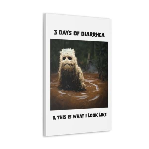 Funny Canvas Art Print Gallery Wrap - 3 Days of Diarrhea & This Is What I Look Like - Image 36