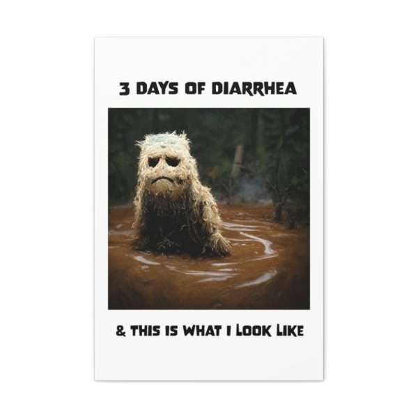 Funny Canvas Art Print Gallery Wrap - 3 Days of Diarrhea & This Is What I Look Like - Image 35