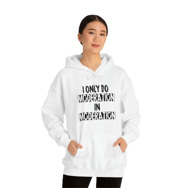 Unisex Heavy Blend™ Hoodie Sweatshirt - I Only Do Moderation in Moderation - Image 3