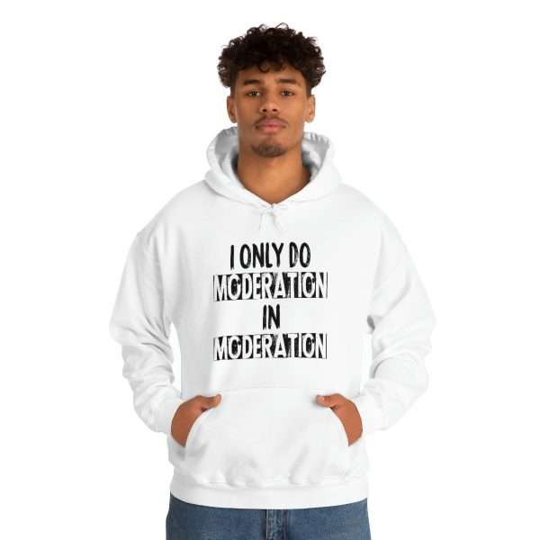 Unisex Heavy Blend™ Hoodie Sweatshirt - I Only Do Moderation in Moderation - Image 4