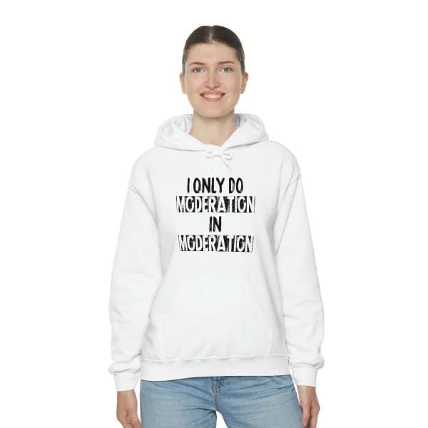 Unisex Heavy Blend™ Hoodie Sweatshirt - I Only Do Moderation in Moderation - Image 5