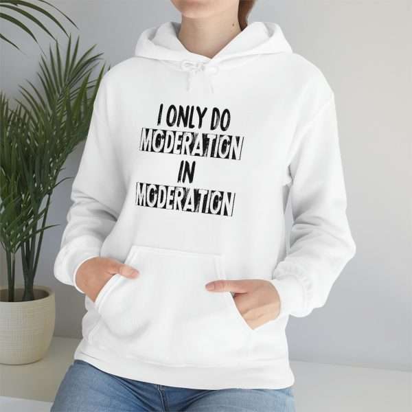 Unisex Heavy Blend™ Hoodie Sweatshirt - I Only Do Moderation in Moderation