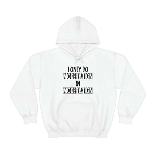 Unisex Heavy Blend™ Hoodie Sweatshirt - I Only Do Moderation in Moderation - Image 2